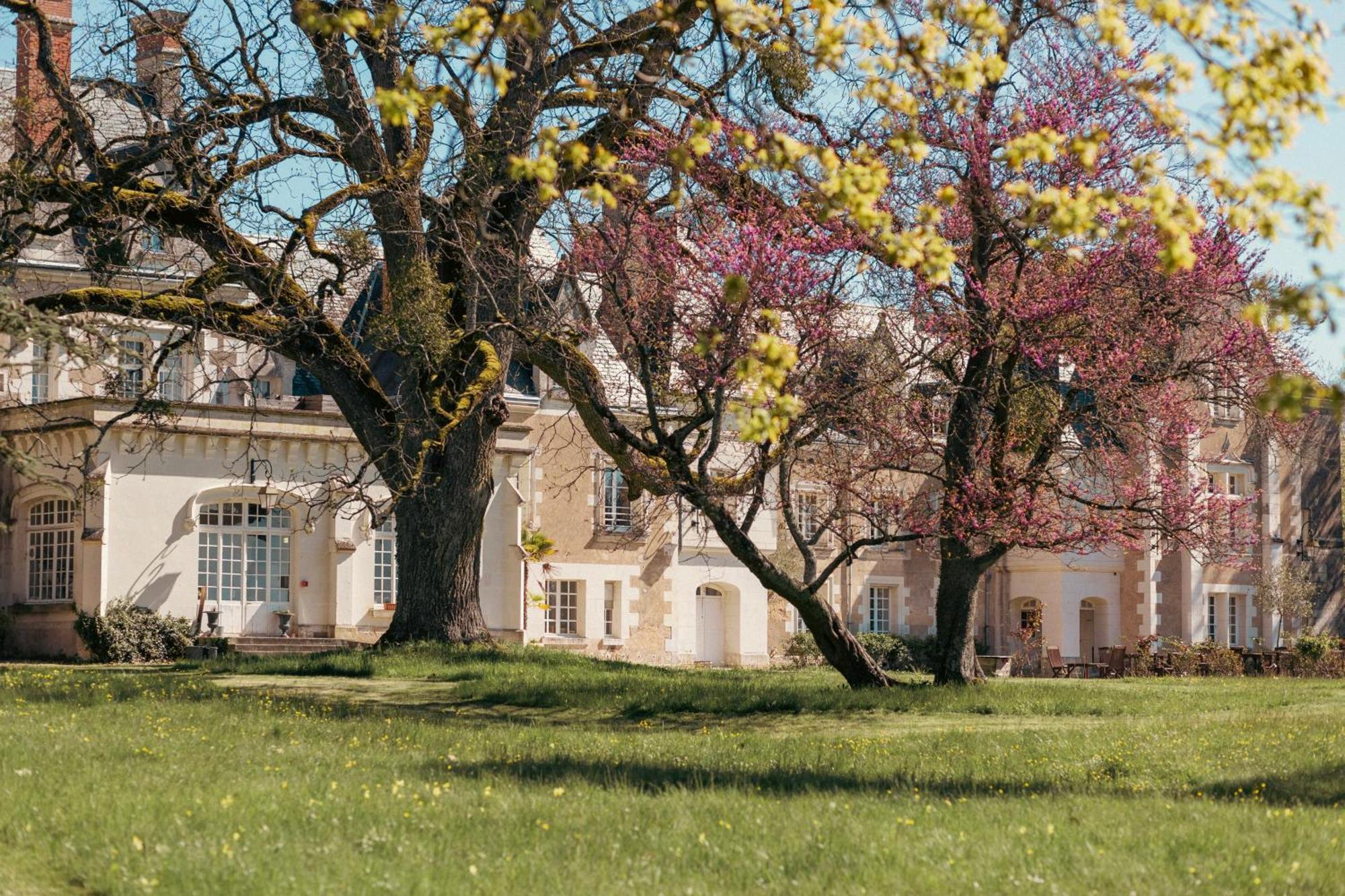 Chateau De Razay Céré-la-Ronde Esterno foto