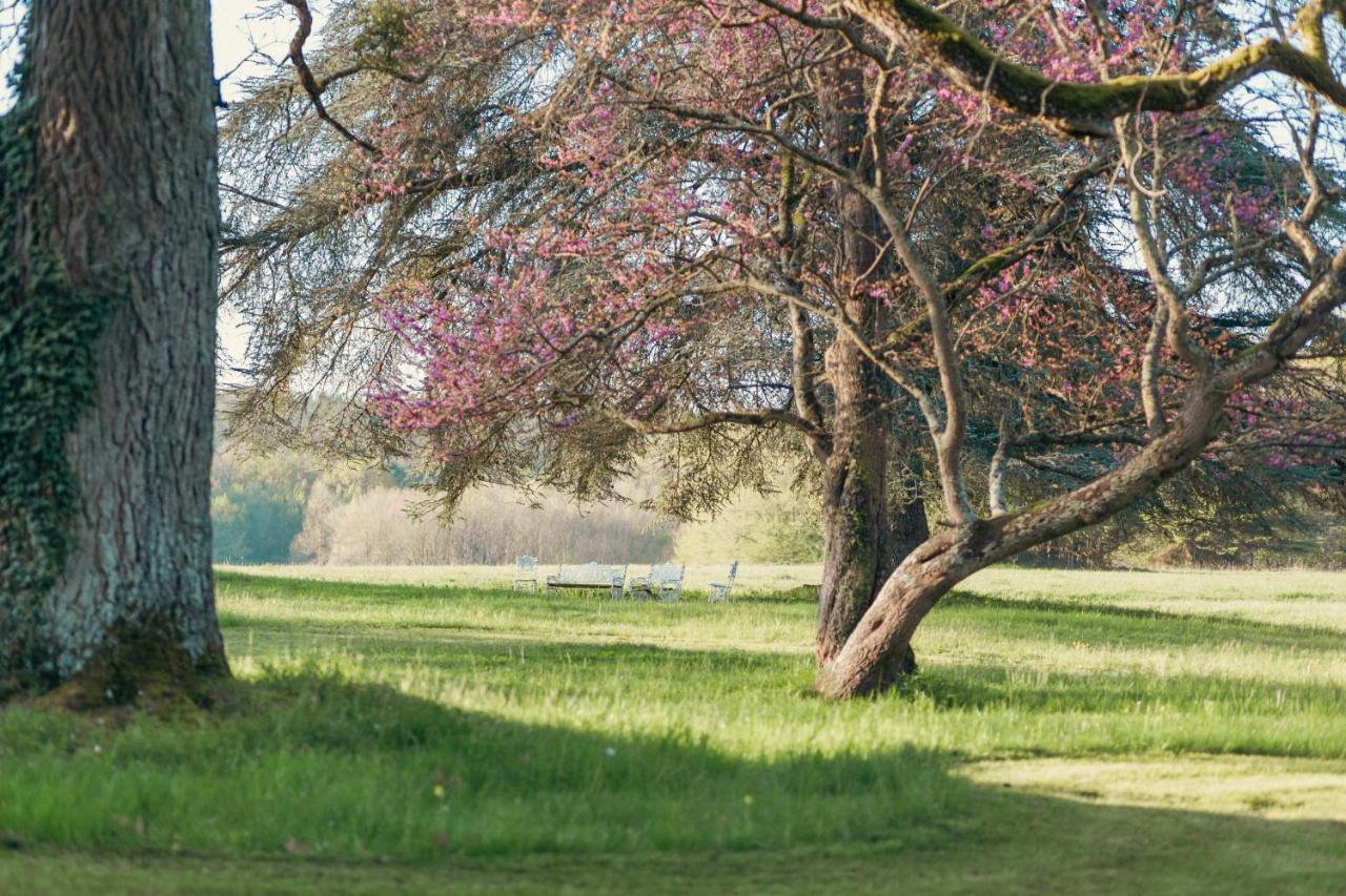Chateau De Razay Céré-la-Ronde Esterno foto
